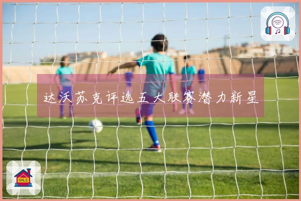 达沃苏克评选五大联赛潜力新星