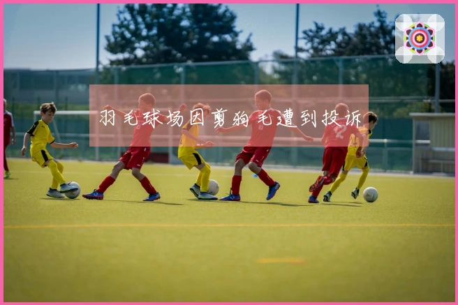 羽毛球场因剪狗毛遭到投诉