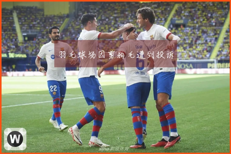 羽毛球场因剪狗毛遭到投诉